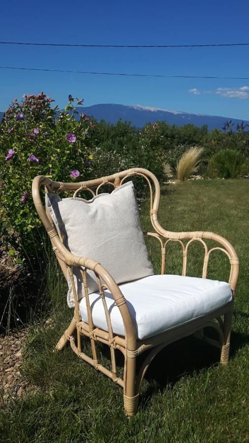 Le Cottage Du Chat Blanc Saint Didier  Zewnętrze zdjęcie