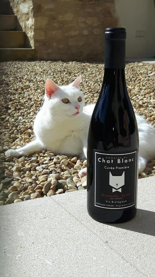 Le Cottage Du Chat Blanc Saint Didier  Zewnętrze zdjęcie